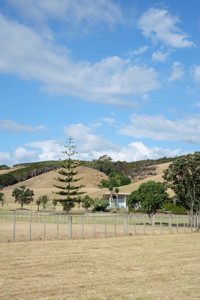 Illustration for article titled Waiheke Island